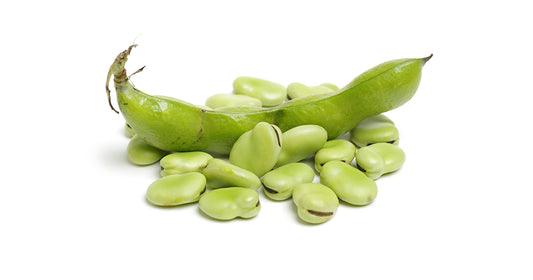 Fèves (La barquette, déjà écossées) FRANCE