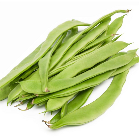 Haricots coco plat (Les 500g) ESPAGNE