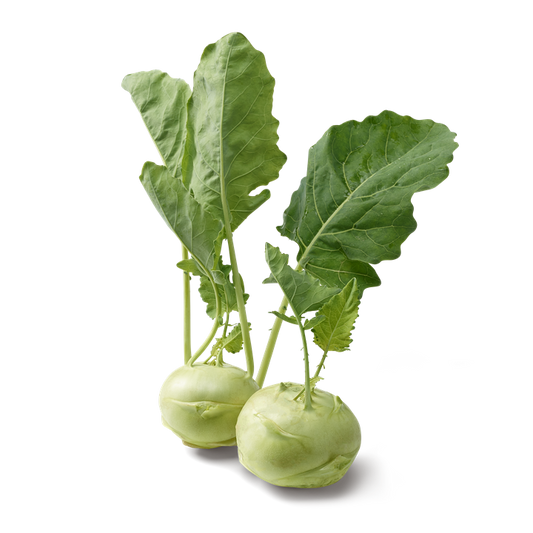 Choux raves (La pièce) FRANCE