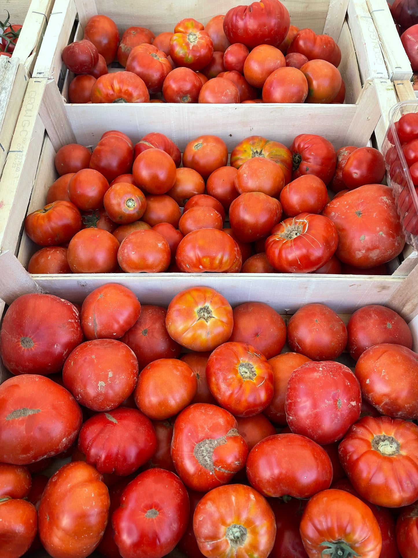 Tomates pleines terre Essonne (91) (Les 500g) FRANCE