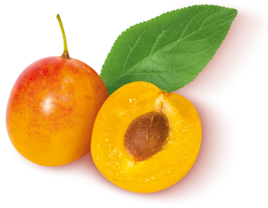 Mirabelles (Le kg) FRANCE