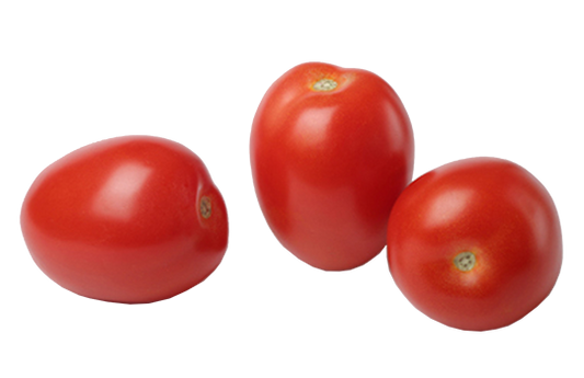 Tomates olivettes FRANCE