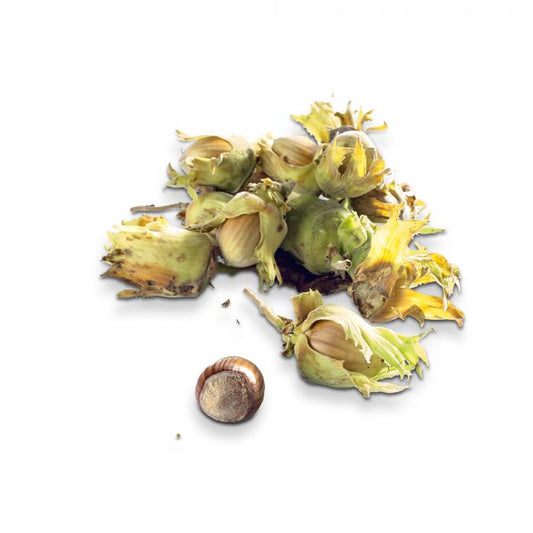 Noisettes fraîches (Les 500g) FRANCE