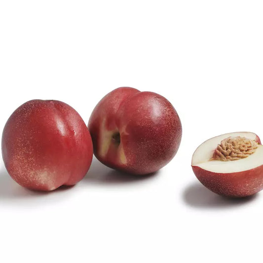 Brugnons (Les 500g) de Corse FRANCE