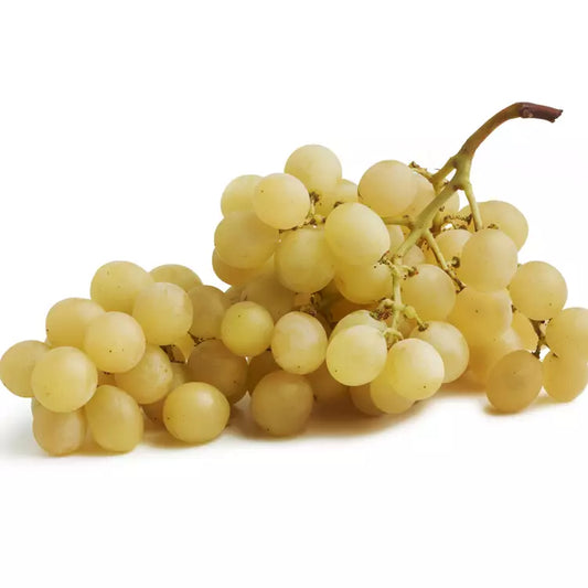 Raisins Italia ITALIE