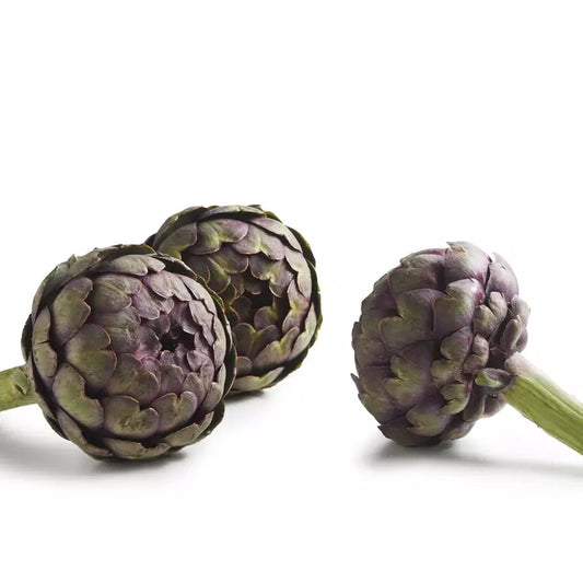 Artichauts violets (Cardinal) FRANCE