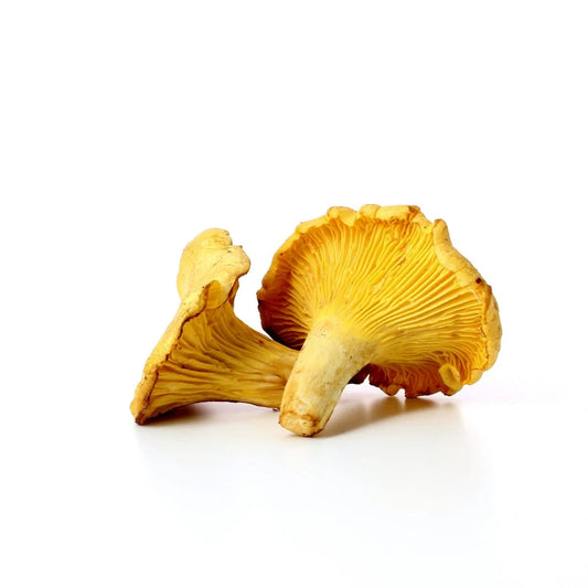 Champignons Girolle (Les 500g) FRANCE