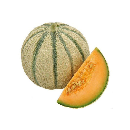 Melons Haut de Poitou (La pièce) FRANCE