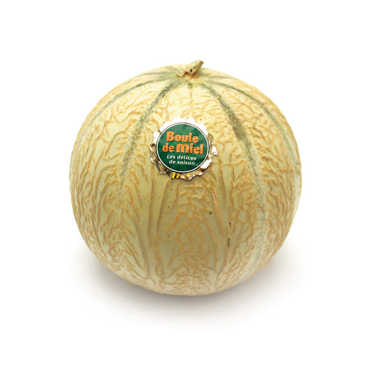 Melons Boule de miel (La pièce) ESPAGNE