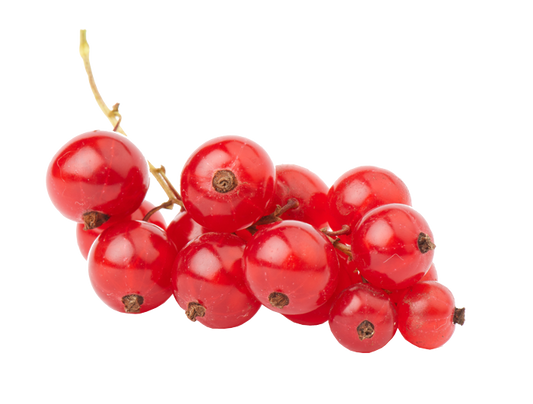 Groseilles (La barquette de 125g) FRANCE