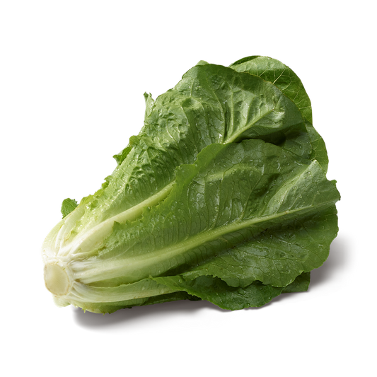 Salades Romaine (La pièce) FRANCE