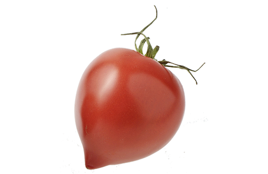 Tomates cornues de Chailly (77) FRANCE