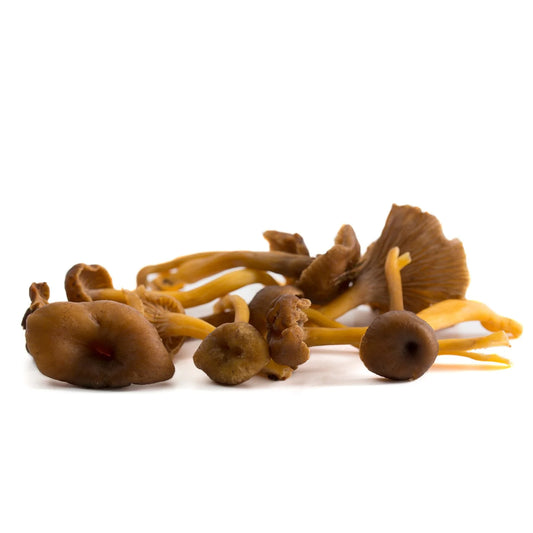 Champignons Chanterelle FRANCE