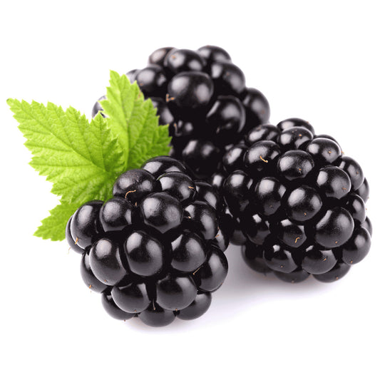 Mûres (La barquette de 125g) FRANCE