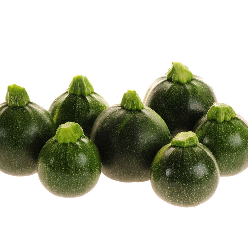 Courgettes rondes (Les 4 pièces) ESPAGNE