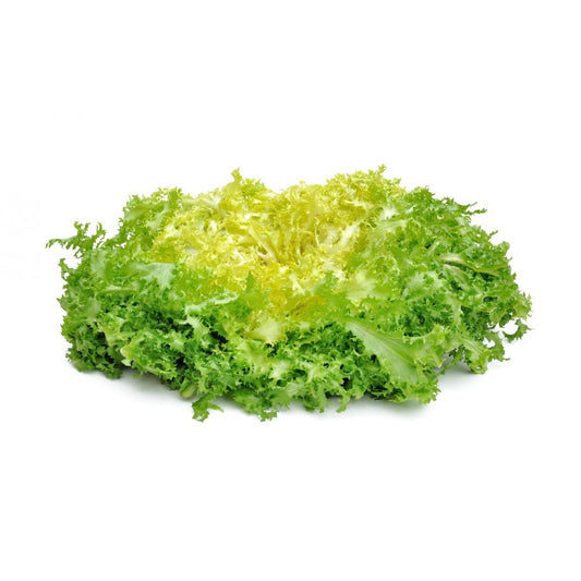 Salades Frisée (La pièce) FRANCE