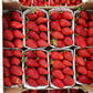 Fraises Dream Les Chênes verts (Les deux barquettes de 250g)