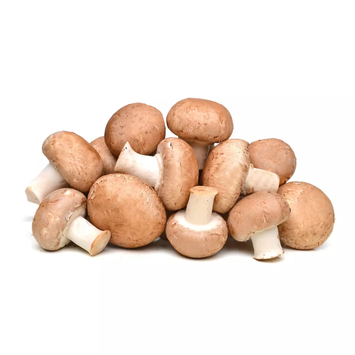 Champignons bruns (Les 280g) FRANCE