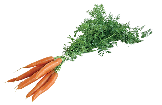 Carottes botte (La botte de 800g) FRANCE