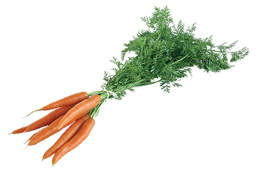 Carottes botte (La botte de 800g) FRANCE