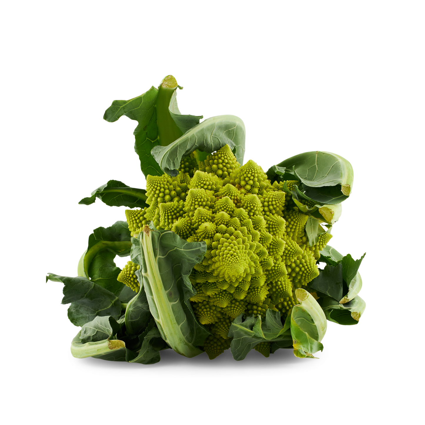 Choux Romanesco (La pièce) FRANCE