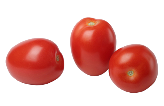Tomates olivettes FRANCE