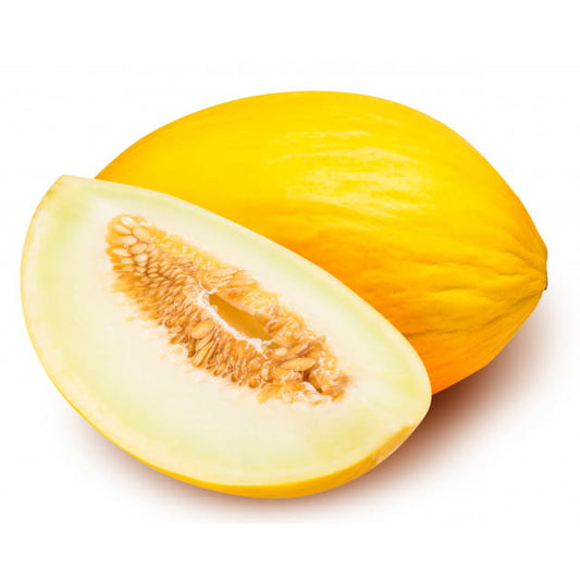 Melons jaunes ESPAGNE