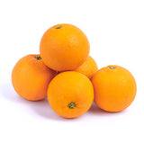 Oranges amères ESPAGNE