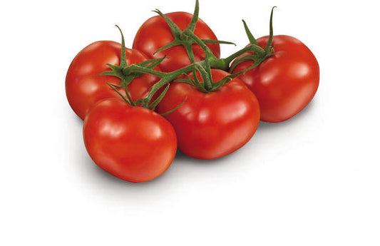 Tomates grappes de Provence (Le kilo) FRANCE