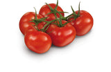 Tomates grappes de Provence (Le kilo) FRANCE