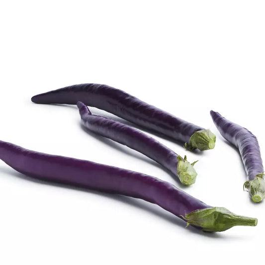 Aubergine longue (La pièce) ESPAGNE