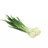 Oignons botte (La botte) ITALIE
