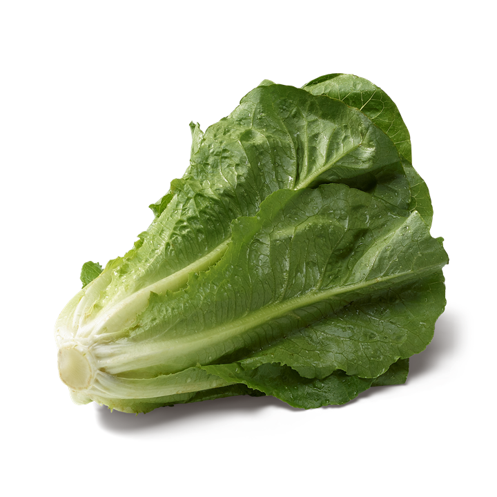 Salades Romaine (La pièce) FRANCE