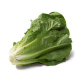 Salades Romaine (La pièce) FRANCE