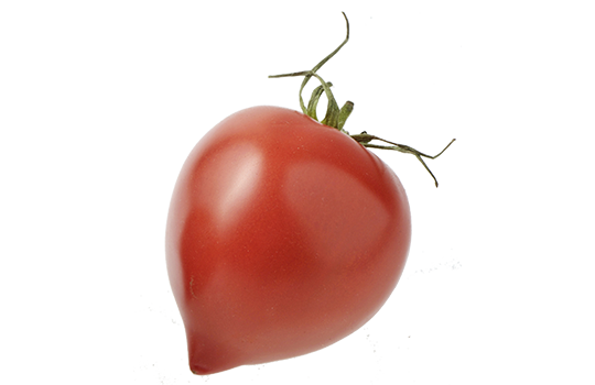 Tomates cornues de Chailly (77) FRANCE