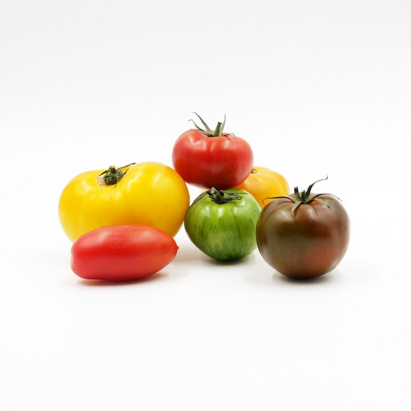 Tomates couleurs saveurs d’Antan FRANCE