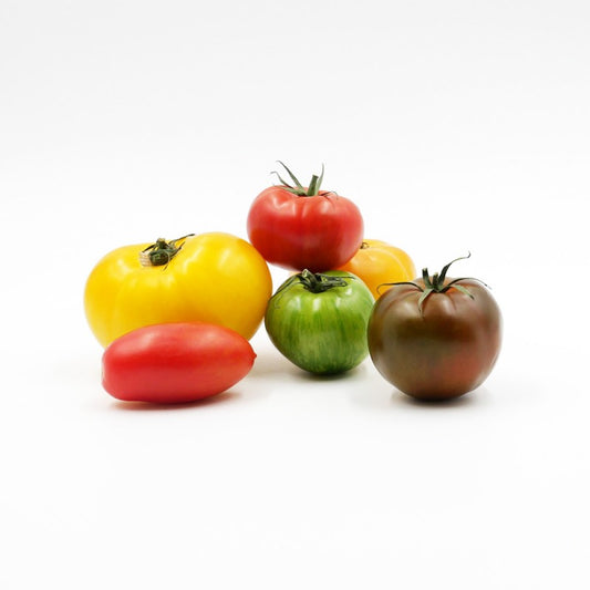 Tomates couleurs saveurs d’Antan FRANCE