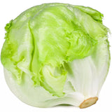 Salades Iceberg (La pièce) ESPAGNE